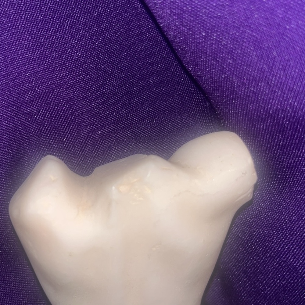 Female Body Form - Picture 3 of 5
